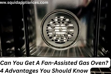can you get fan assisted gas ovens